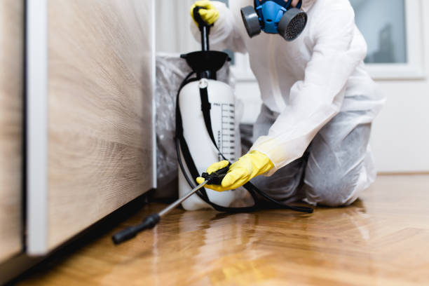 Pest Prevention Services in Round Lake Beach, IL