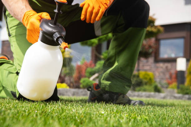 Best Pest Control Near Me  in Round Lake Beach, IL