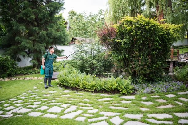 Best Pest Control Near Me in Round Lake Beach, IL