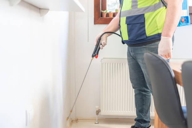 Best Mosquito Control Services  in Round Lake Beach, IL