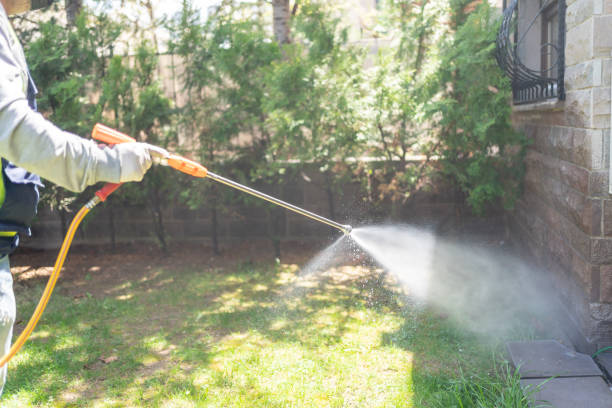 Best Bed Bug Extermination  in Round Lake Beach, IL