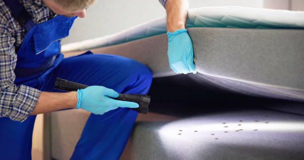 Best Pest Control Near Me  in Round Lake Beach, IL