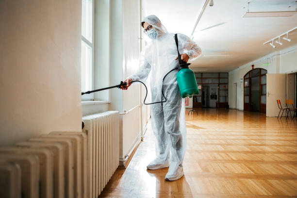 Best Insect Control  in Round Lake Beach, IL