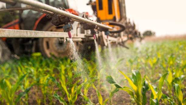 Best Ant Control Services  in Round Lake Beach, IL